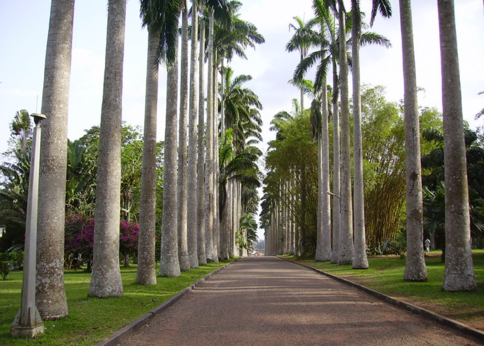 botanical garden in ghana