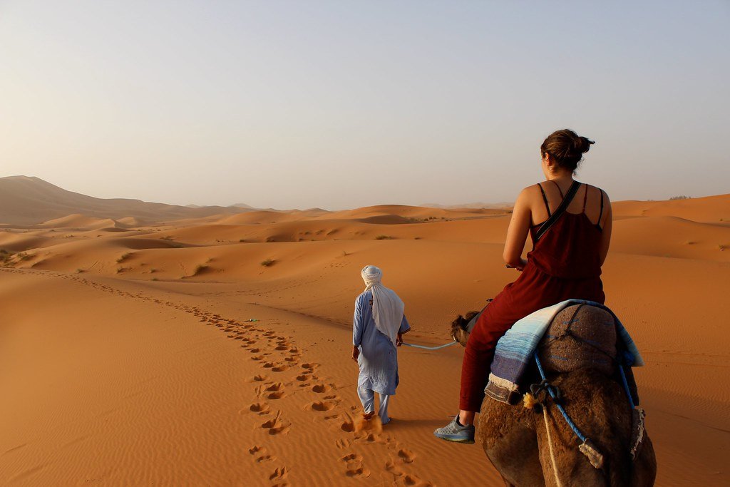 sahara camel trekking