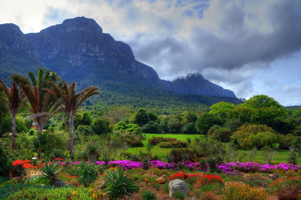 Botanical garden in Cape Town