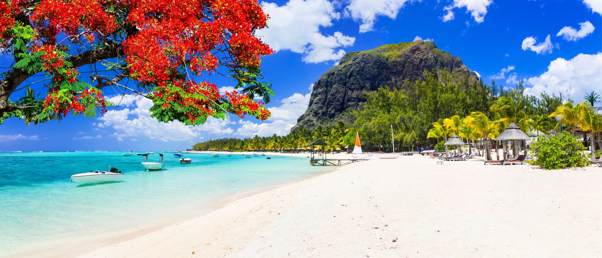 Mauritius beach day