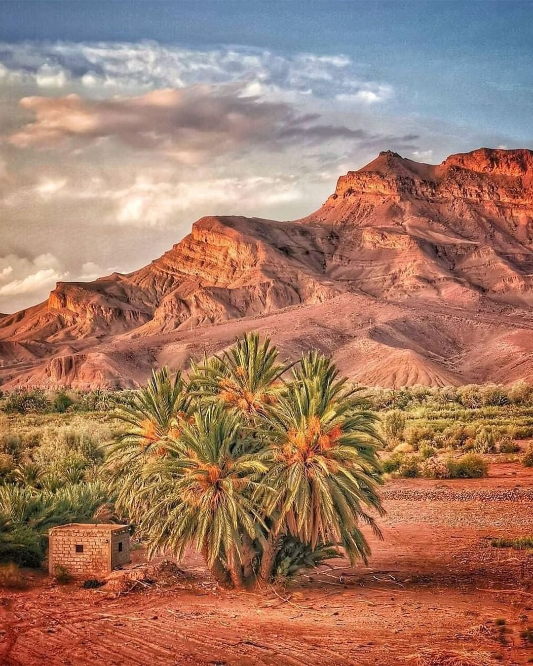 zagora mountain desert
