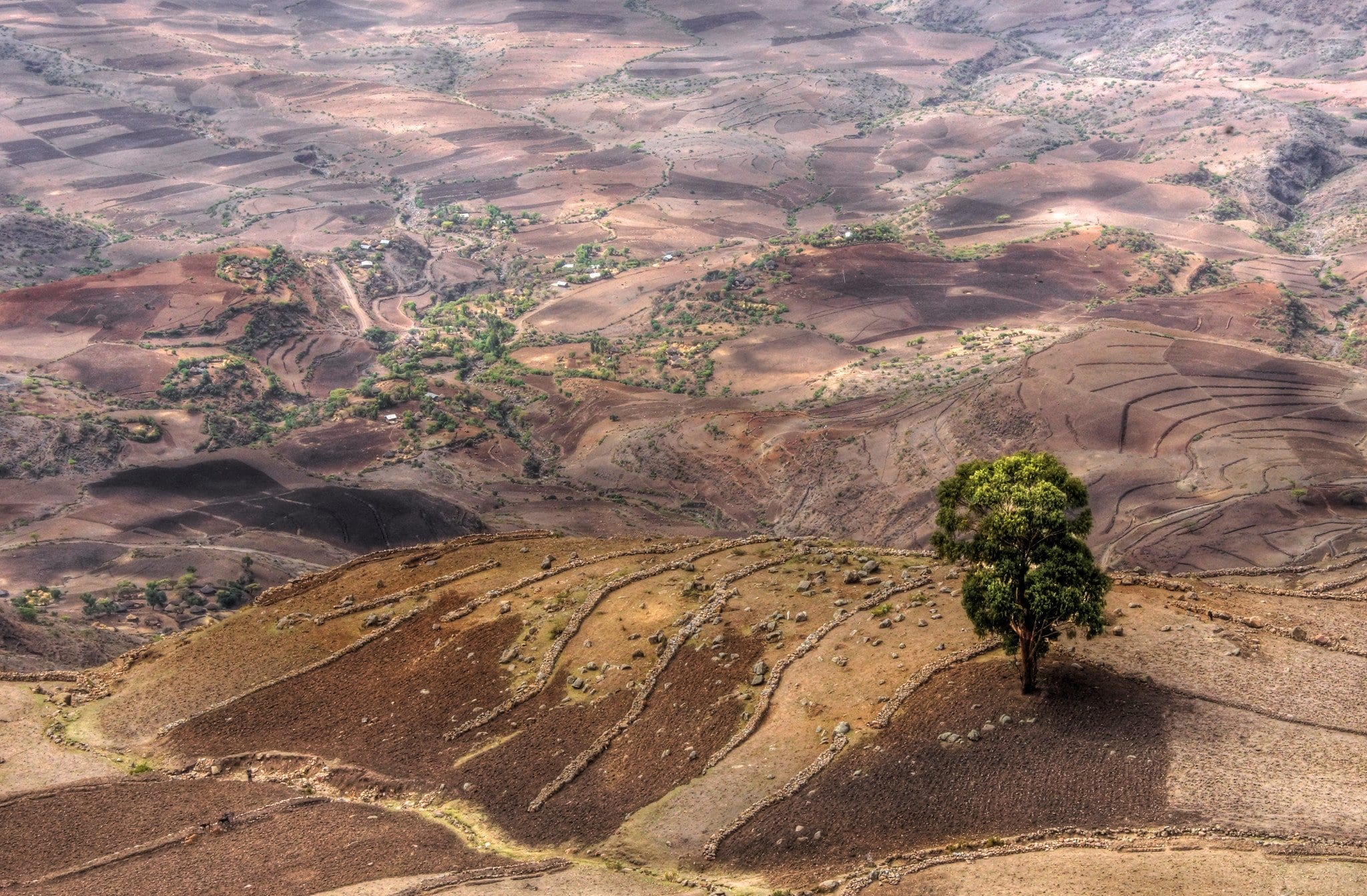 landscape of ethiopia
