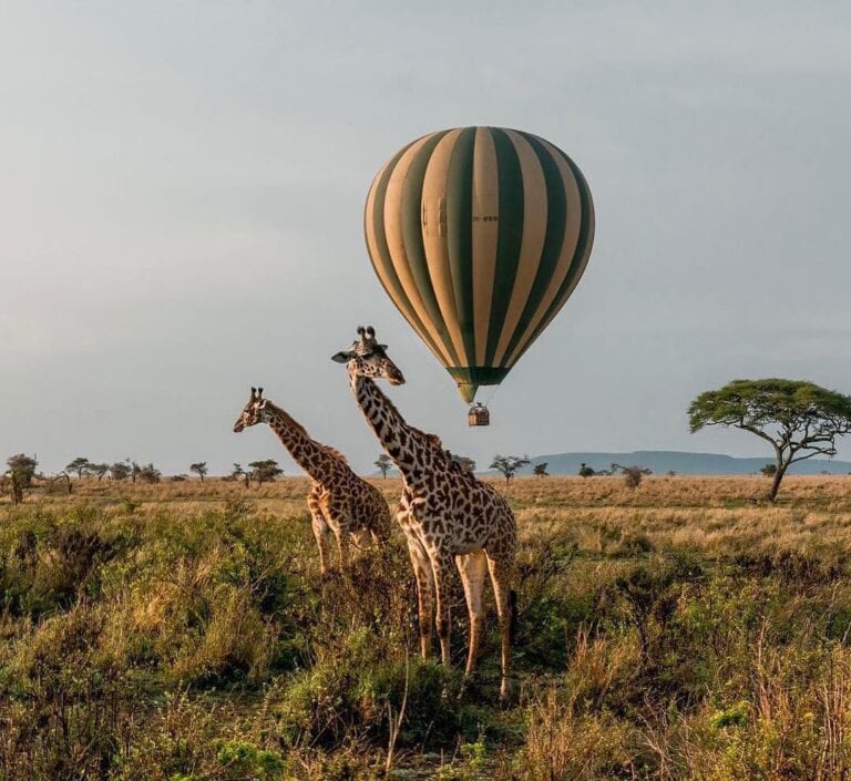 guide to Serengeti National Park