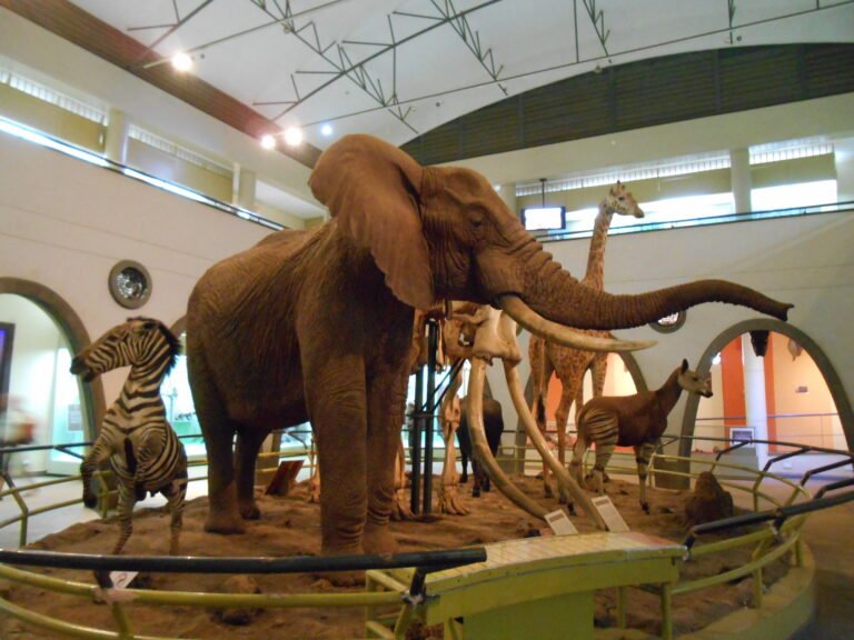Museums in Kenya