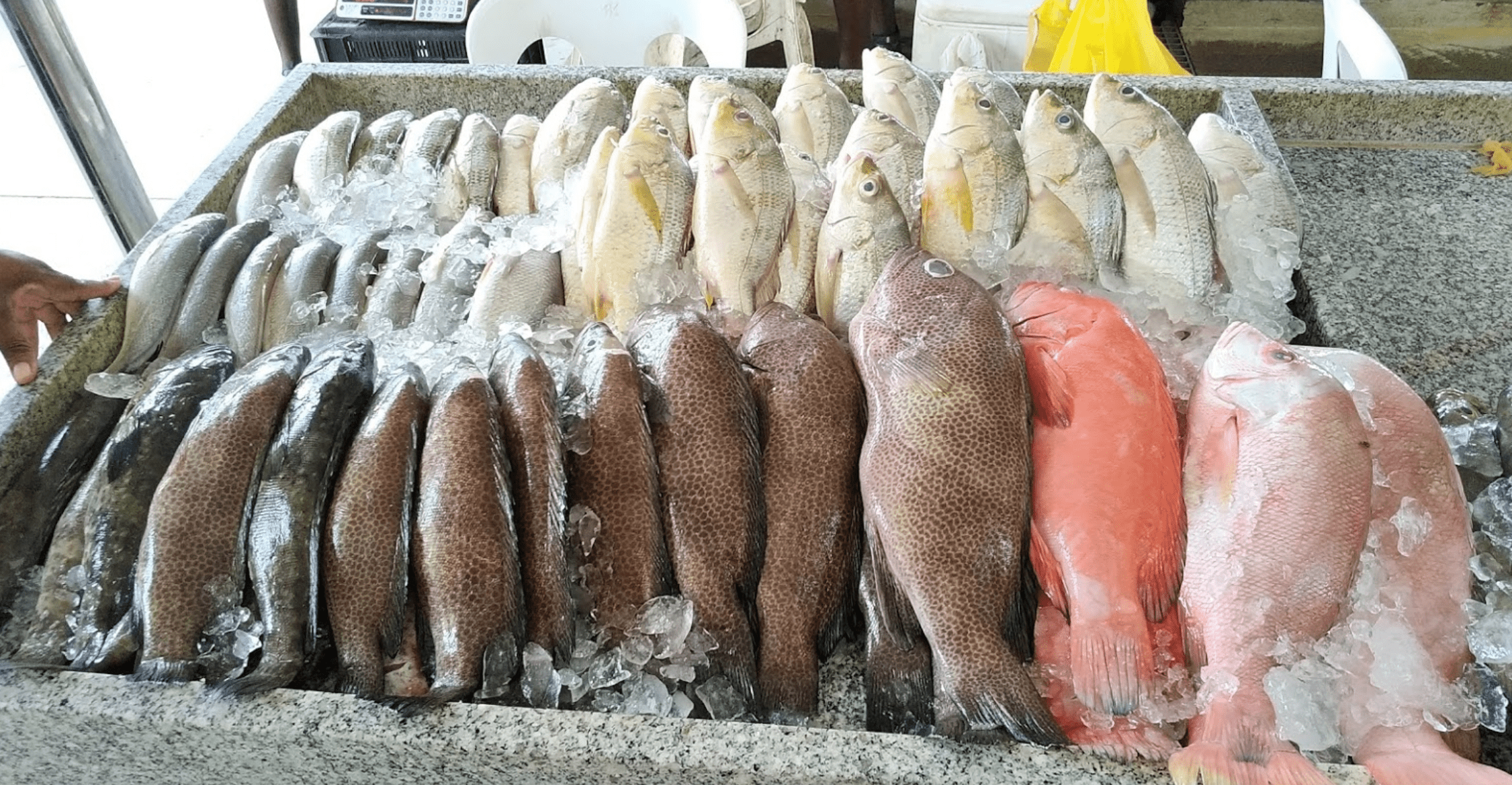 seafood market in Maputo