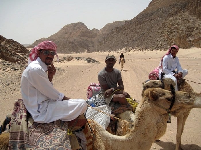 Dahab camel ride