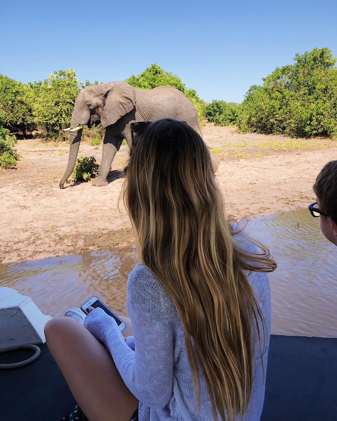 Chobe riverfront safari