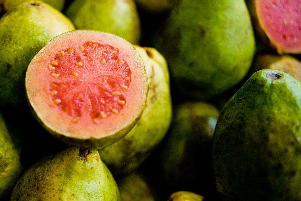 healthy fruits guava