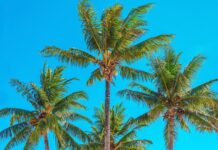 Mauritius top 10 beach destinations in Africa