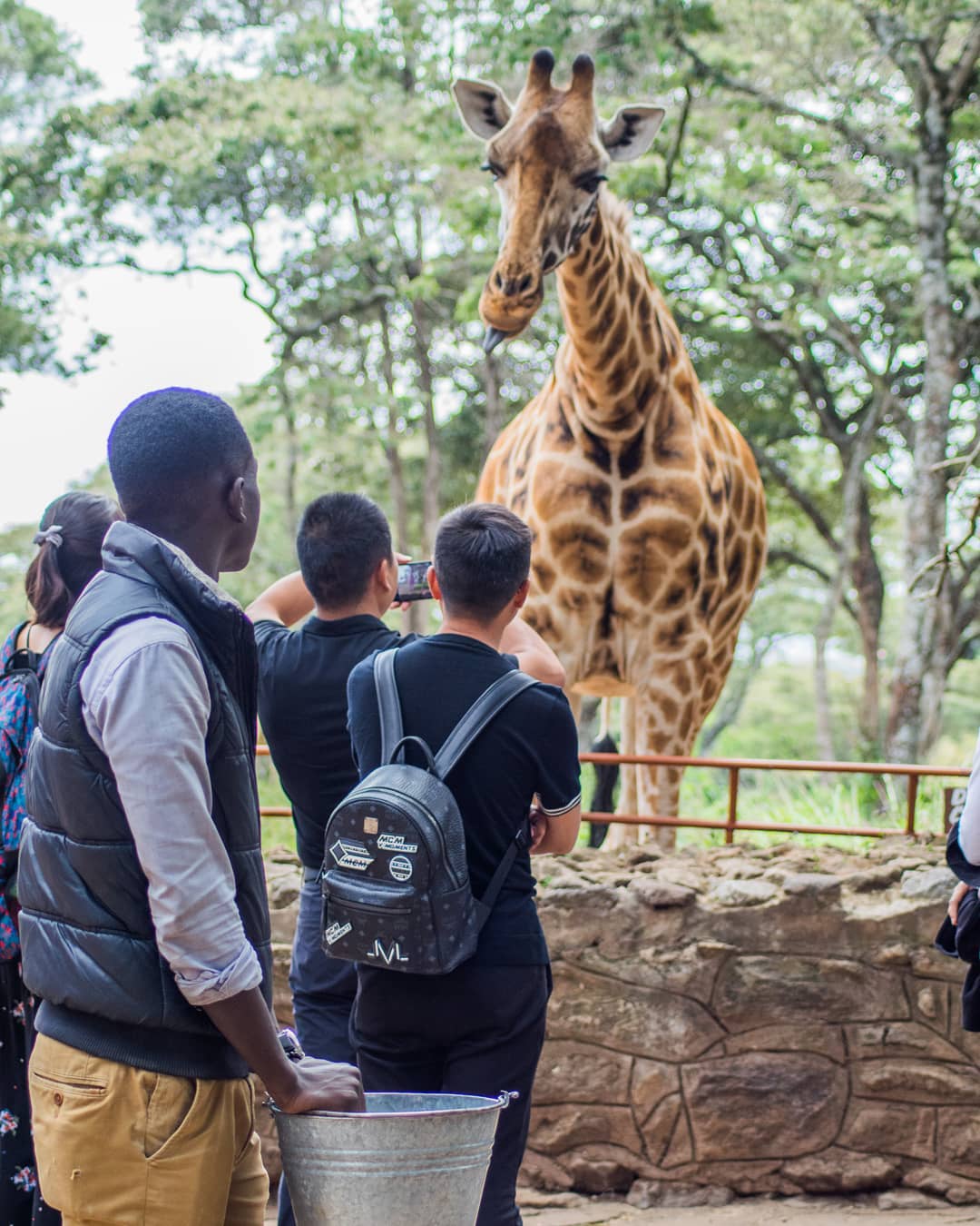 Nairobi Giraffe Centre