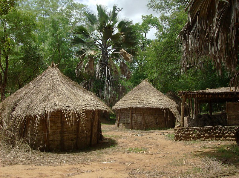 Thatch roof huts at Niokolo-Koba National Park