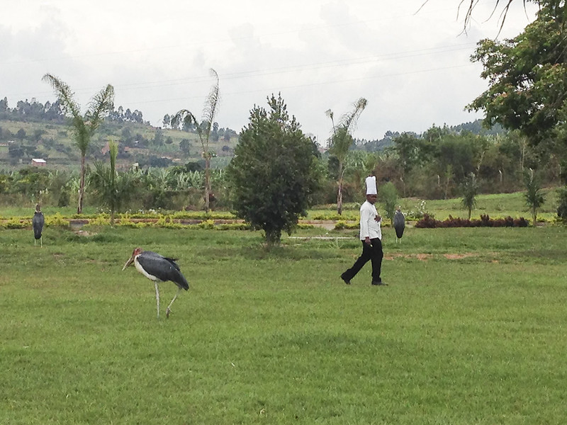 romantic destinations in rwanda