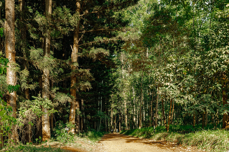 romantic things to do in kenya