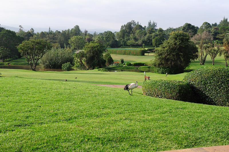 kenya romantic spots